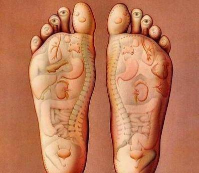 Kaiyun 开云体育脚部冬季保健养生