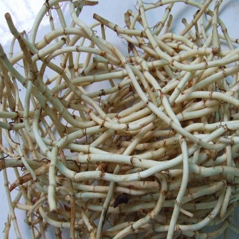 “最难吃蔬菜”排名第二的就是，气味有鱼腥味的鱼腥草。因其味道浓烈刺