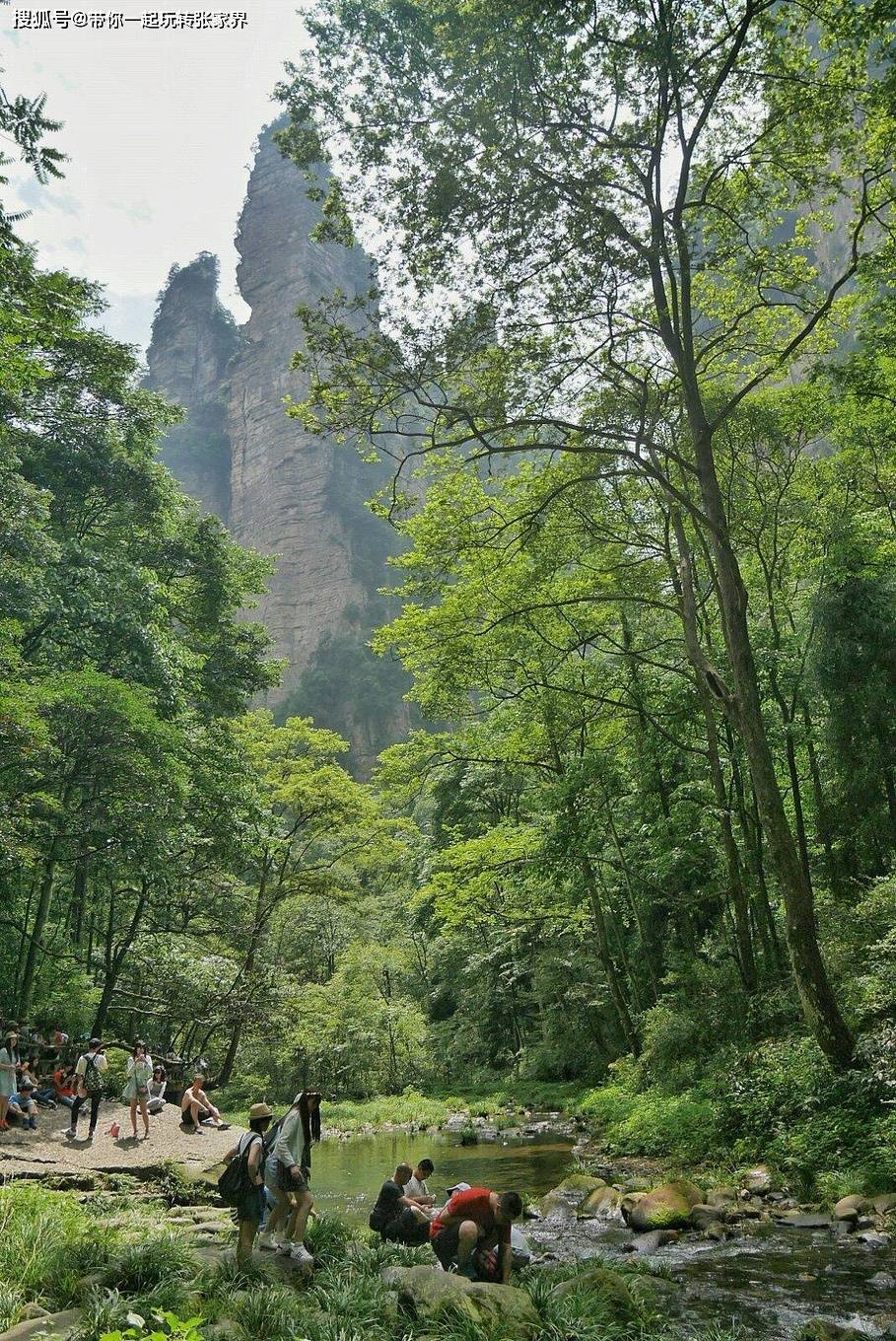 赏武陵奇峰-醉美张家界4日游自由行攻略