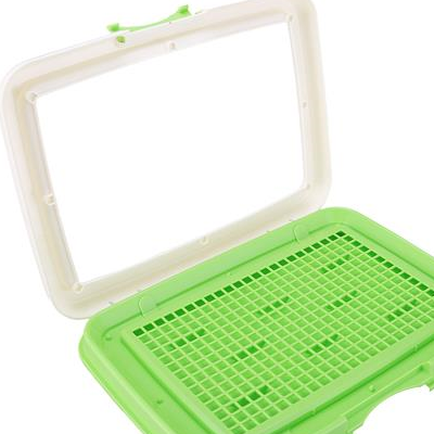 宠物小知识:博美尿桌子上怎么清理,博美尿桌子上了怎么处理-第2张图片-冲锋网 宠物小知识:博美尿桌子上怎么清理,博美尿桌子上了怎么处理-第2张图片-冲锋网