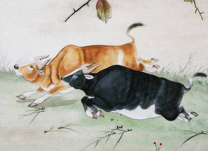 企足而待是什么生肖，独家解析落实