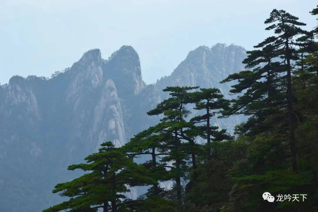 秋天，相见黄山......（黄山美图、旅游攻略）