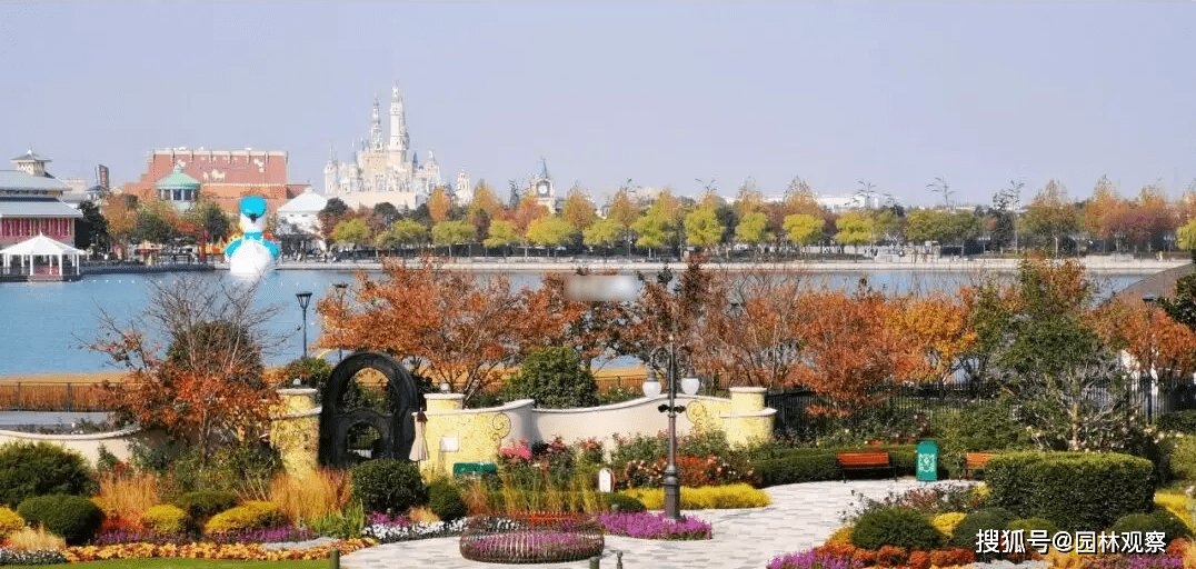上海迪士尼开园完工5年大部门入口树种发展杰出(图4)