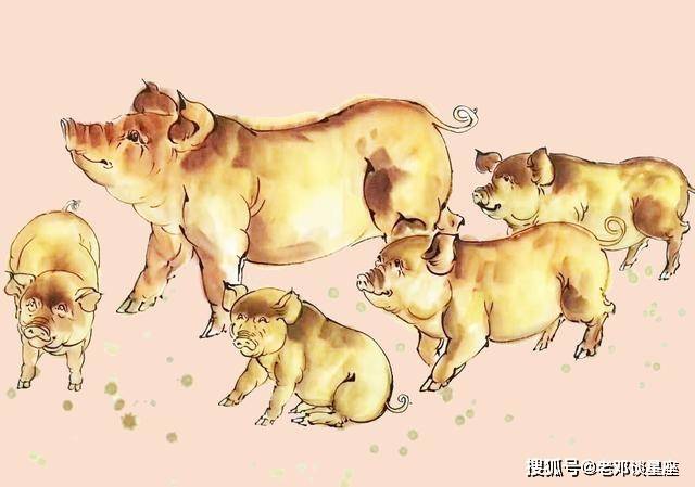 迈四方步打一个正确的生肖，深度解析全过程