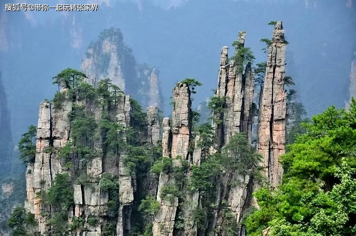 带父母到湖南张家界森林公园天门山玩4天自由行攻略