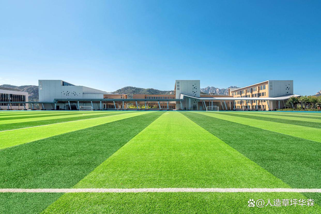 2025江西省城市足球联赛-赛程/比分/球队阵容全掌握-本地足球热血来袭！人造草坪实景效果图揭示草坪魅力