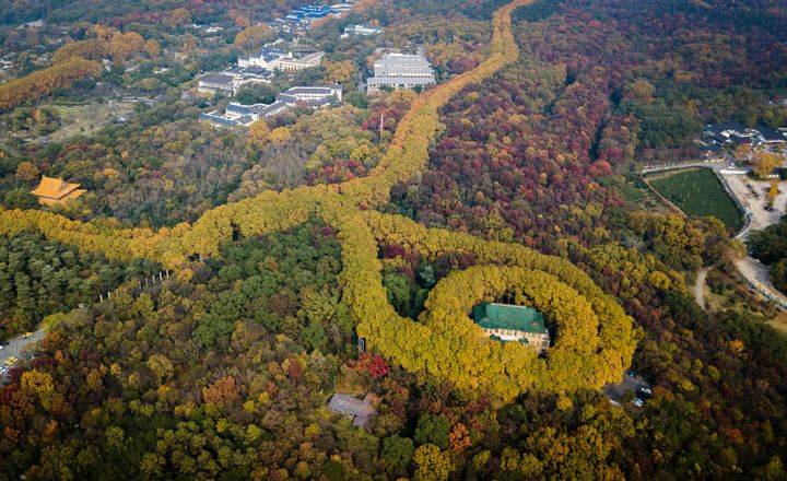 南京旅游攻略：写给想去南京旅游的人五条忠告！最佳线路行程分享