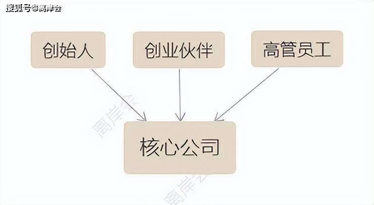 天博官网六种经常使用的主体股权架构(图3)