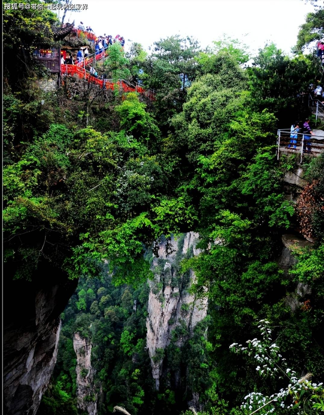 国内精华旅游景点张家界天门山湘西凤凰古城自由行5天4晚旅游攻略