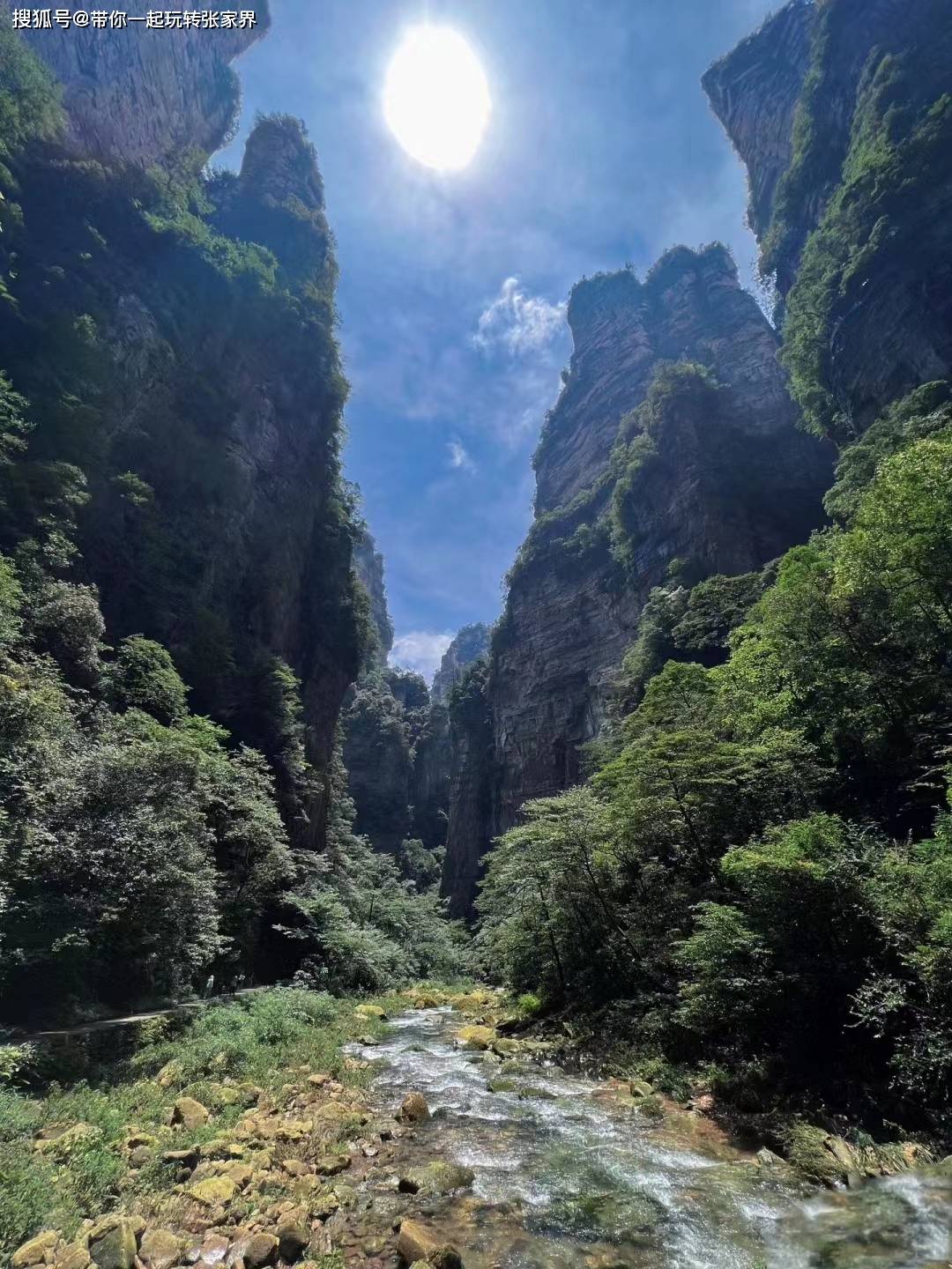 一年一次的家庭旅游季-湖南张家界湘西凤凰古城5日游攻略