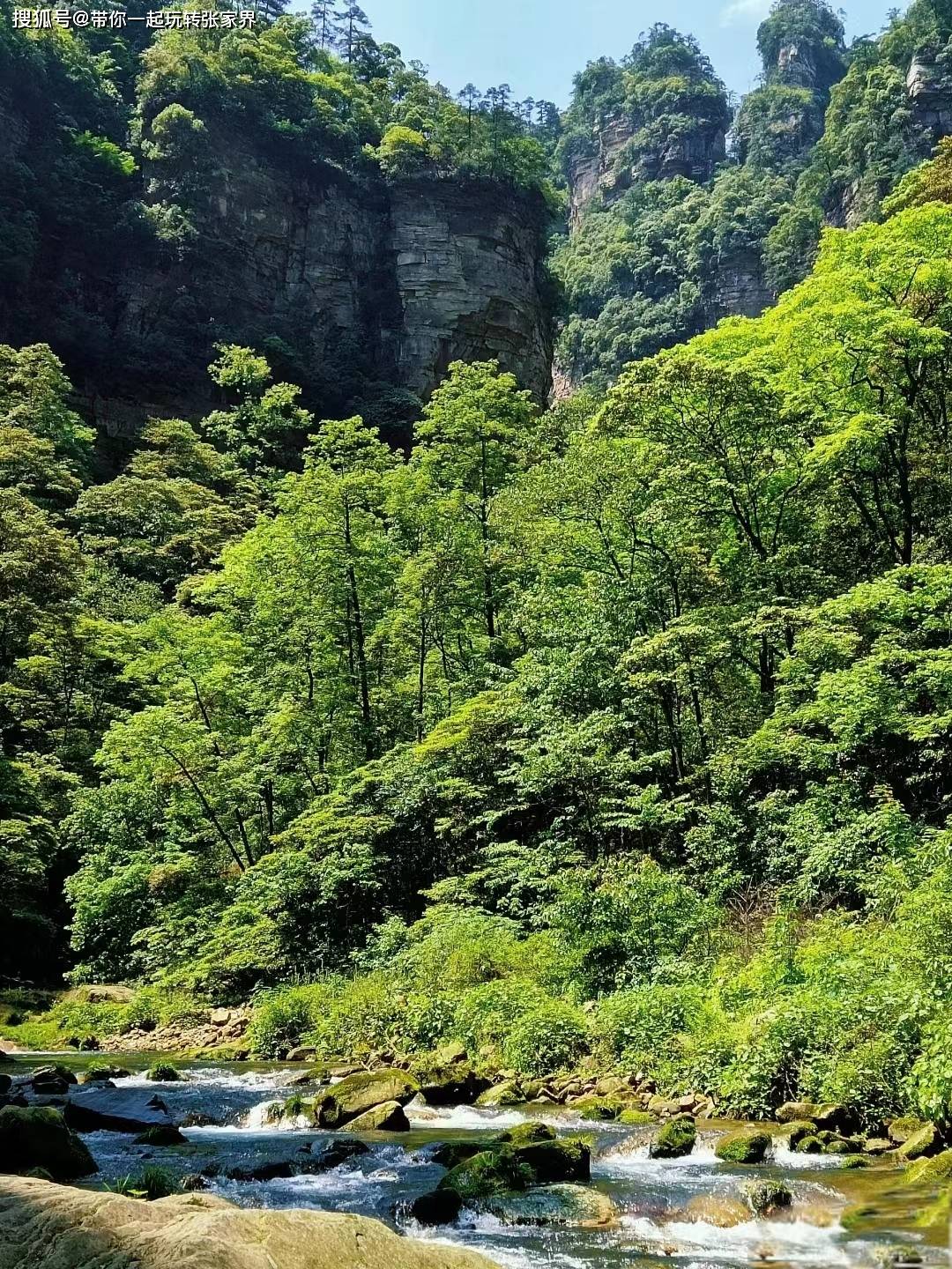 一年一次的家庭旅游季-湖南张家界湘西凤凰古城5日游攻略