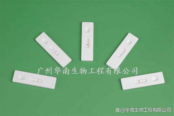 30ed6fda70254a2c904586861767b115.jpeg
