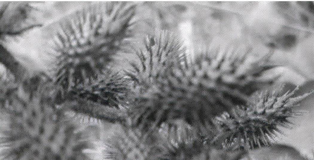 原创
中国最后一个太监孙耀庭:割完后昏迷三天,醒来后大清都亡了