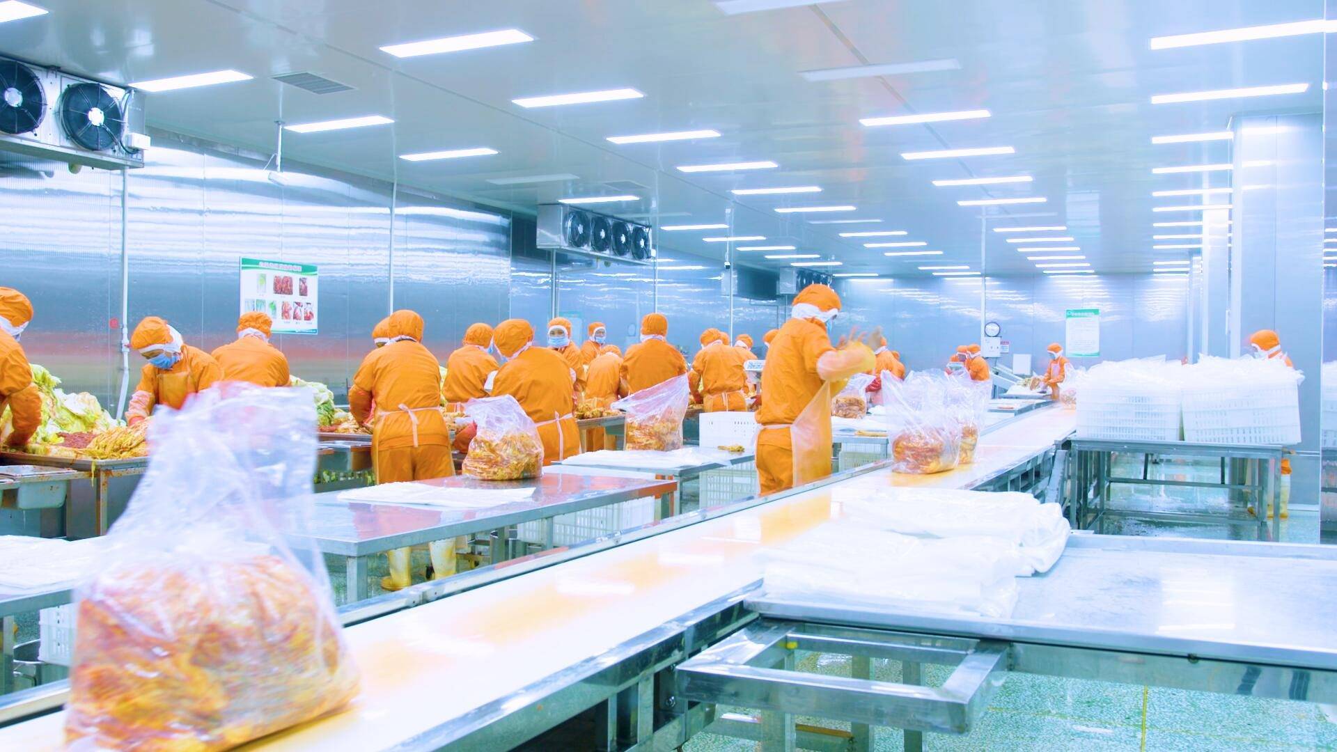 食品厂生产车间消毒用什么消毒液好？