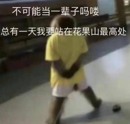 一夜之间，“吗喽”成功入侵了年轻人的朋友圈，成为了他们的新宠！