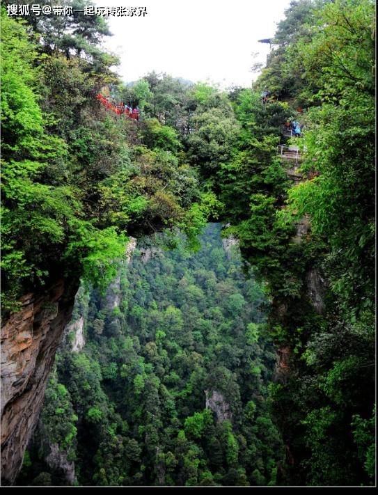 张家界森林公园深度旅游+天门山，凤凰自由行（详细攻略）