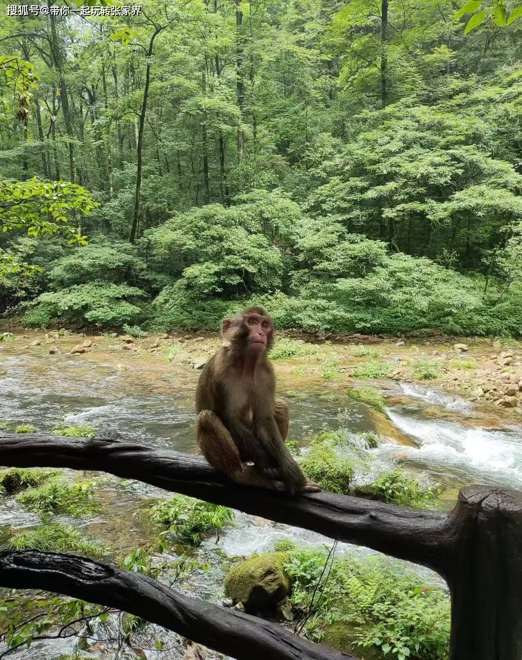 张家界国家森林公园-天门山-凤凰古城-最精华景点路线旅游攻略