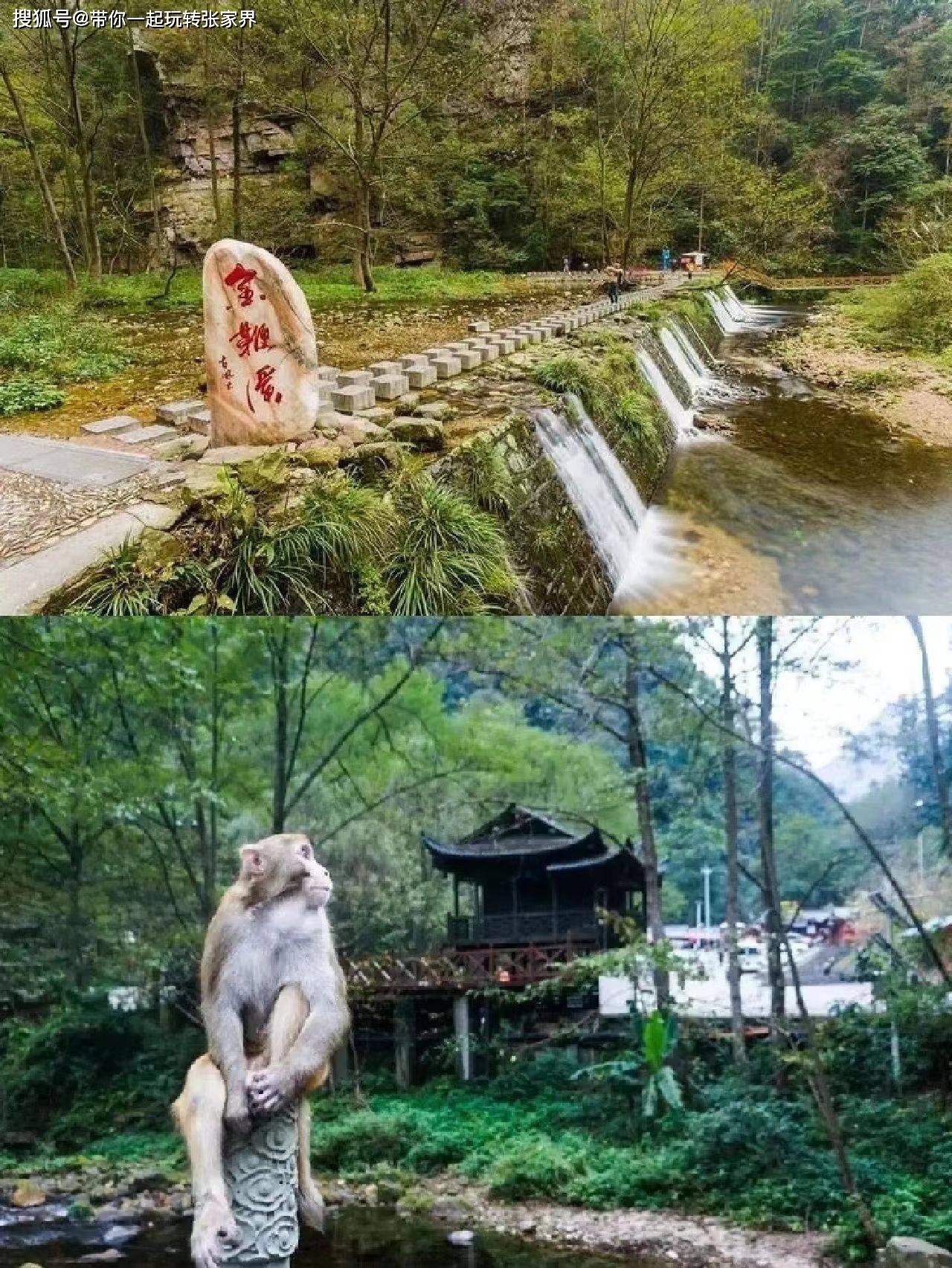 张家界森林公园深度旅游-天门山-凤凰古城自由行（详细攻略）