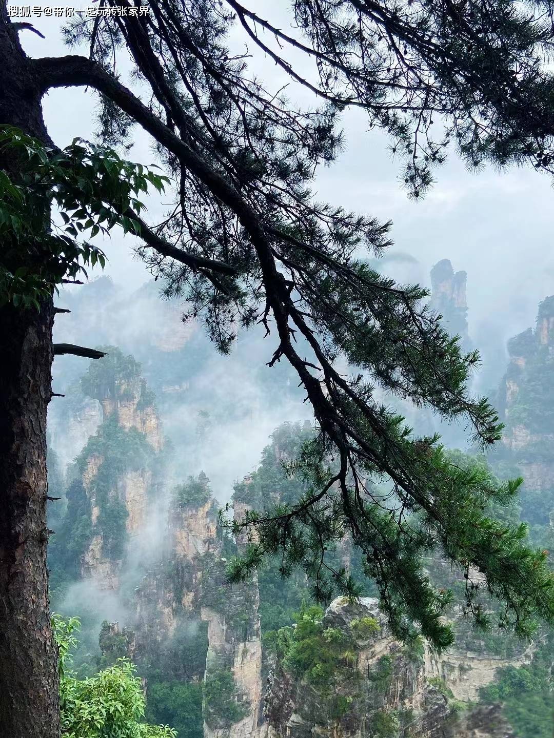 带父母游张家界-纯玩小包团-4天自由行超详细旅游攻略