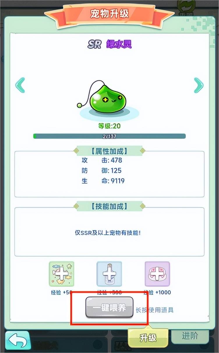 《冒险岛:联盟的意志》宠物机制与类型介绍 《冒险岛:联盟的意志》宠物机制与类型介绍