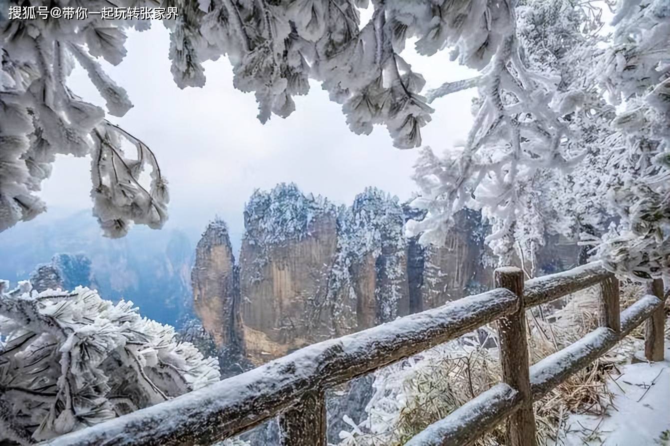 这个冬季看雪景-去张家界凤凰古城游玩5天4晚自由行攻略