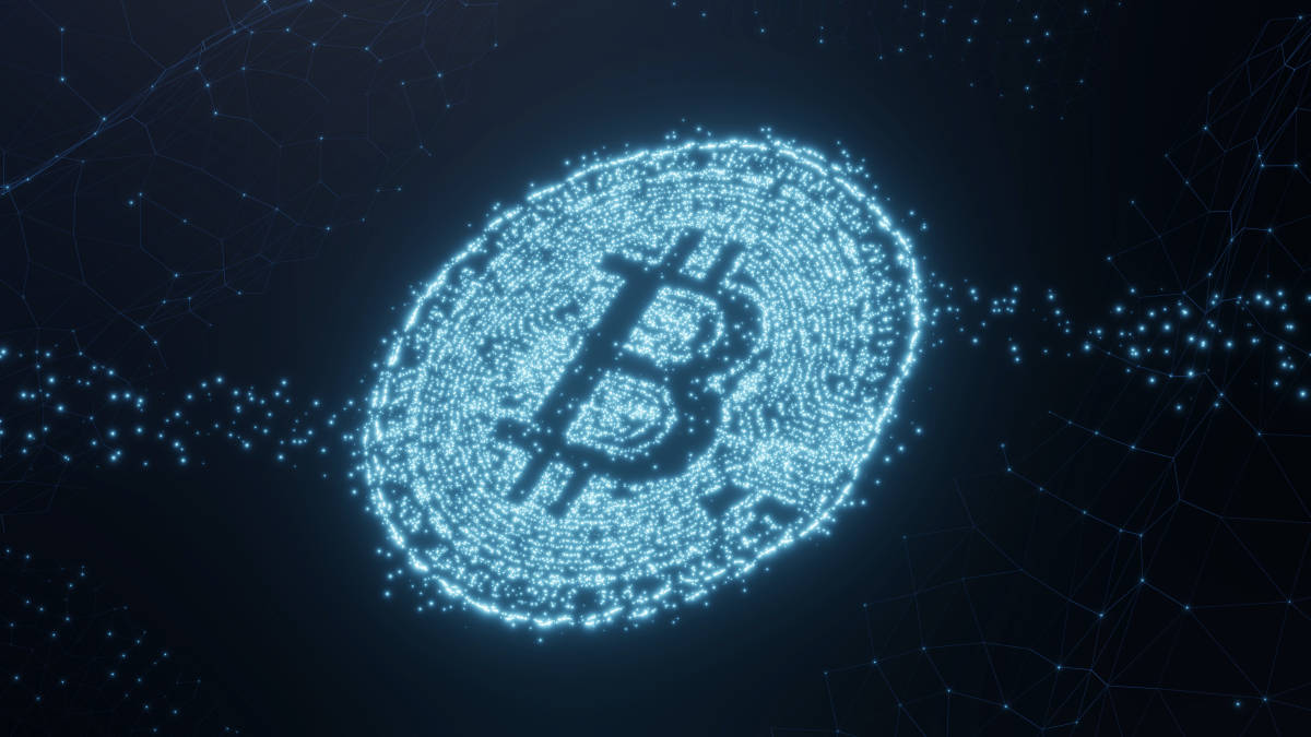 什么是加密货币归属?