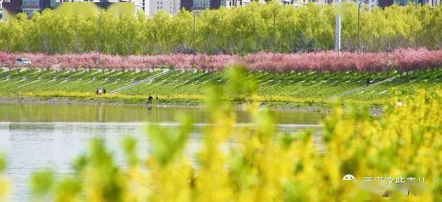 西平gdp_西平县的经济概况(3)