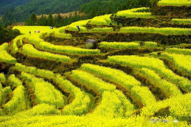 江西GDP低邻省_江西有可能成为全国历史上,第一个邻省GDP全部进入十强的省份