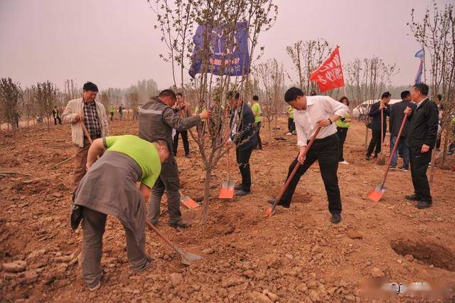 西平gdp_西平县的经济概况(3)