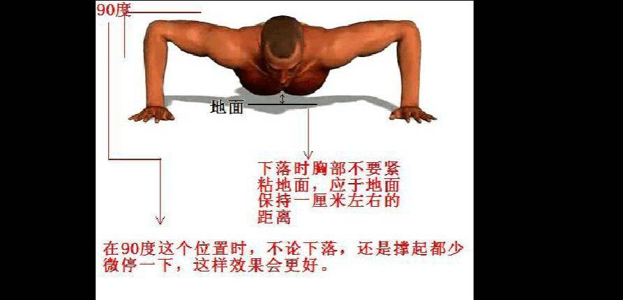 做俯卧撑能降低血糖吗 6ff0f81a25a5464ca28e8d94993a36f2.jpeg