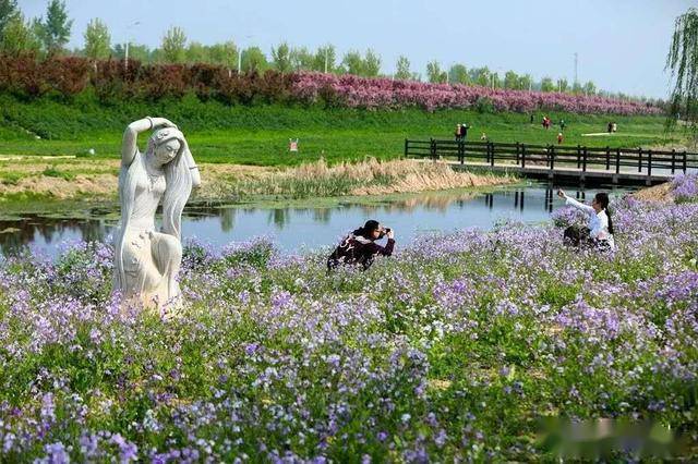 西平gdp_西平县的经济概况(3)