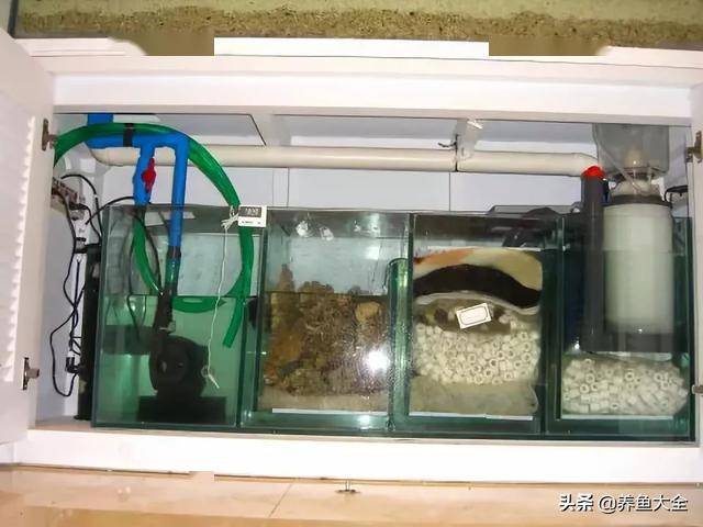 怎样选鱼缸过滤滤材不踩坑 0bc95d3f59754d54838e617aef1b3180.jpeg