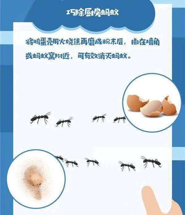 102527aa18a64108b9e1cb23d50dcbab.jpeg