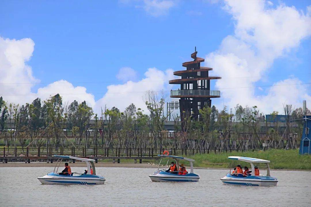 台州新晋打卡点—台州湾湿地公园,游千亩湿地,远离喧嚣,置身自然.