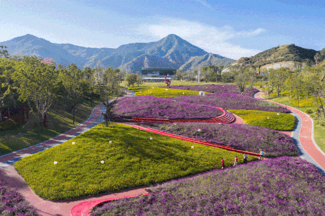 壁纸 成片种植 风景 植物 种植基地 桌面 639_426 gif 动态图 动图