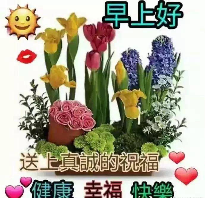 5月15日最漂亮早上好动态表情图片大全,早晨好动图美图大全