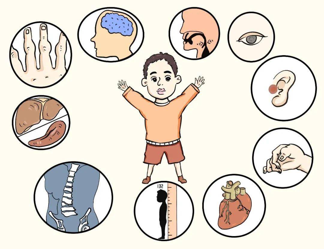 关爱什么？细胞也会消化不良？！｜国际黏多糖贮积症关爱日特别推送