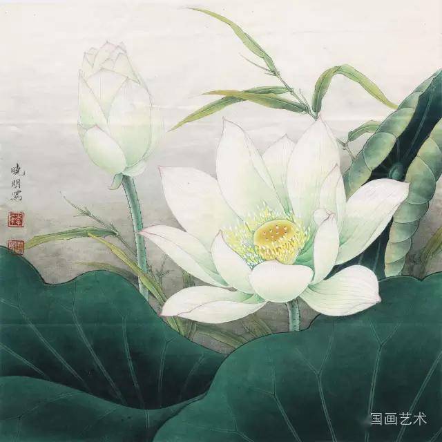 名家画荷:李晓明工笔荷花37张,百看不厌