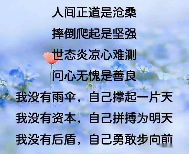 我谁也不靠,靠自己才是正道