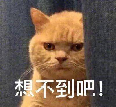 30f1eea7e86944babb98521118a1e5e8.jpeg
