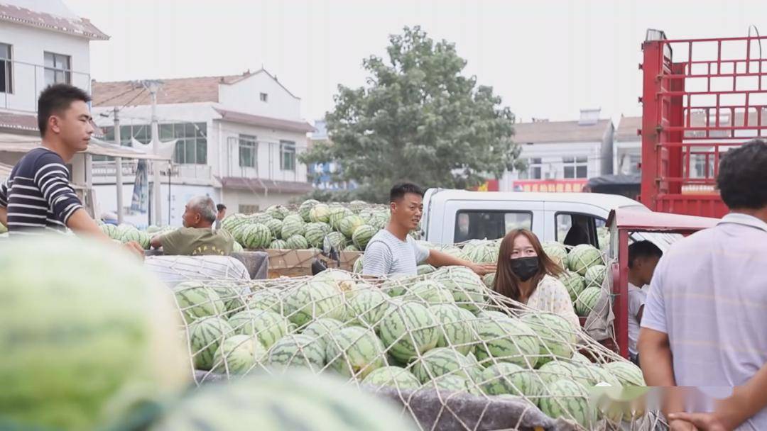 云上直播电商销货 二十万亩西瓜不愁卖_夏邑县