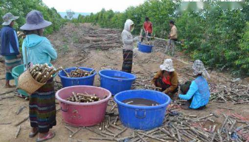 美国2020年四月份GDP_2020美国gdp