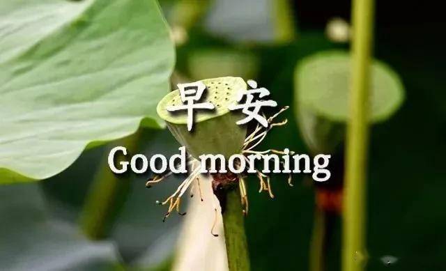 32b578c88a754b36a86396b5eb5e14d4.jpeg