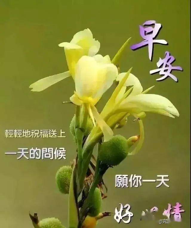 万重关山,思念隔不断;岁月流转,友情冲不淡.早安