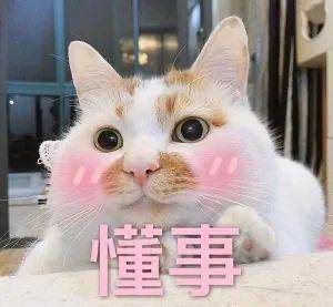9c45ebf7318342958588a6966a4a4682.jpeg