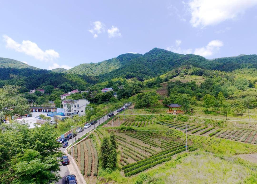 这里有地道的庐江地方特色菜,百花菜等,在这里,您可以品生态山茶,尝