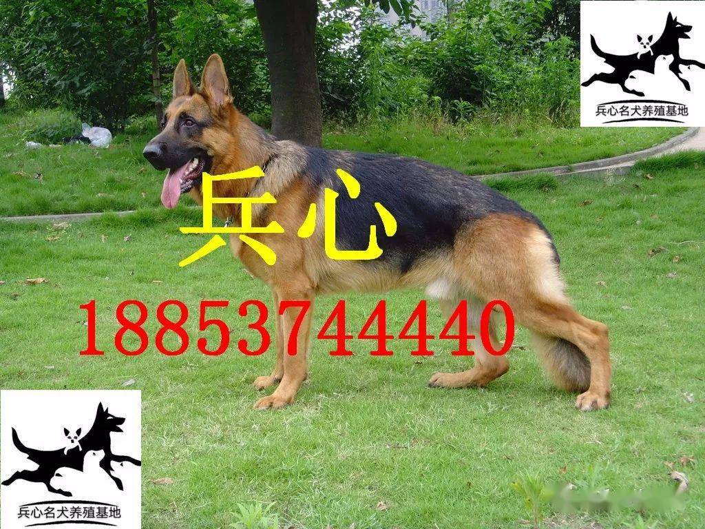923417de71bb44738417e64ff34dca62.jpeg