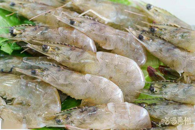 鱼虎云一猜一成语大全_一图一成语猜答案大全