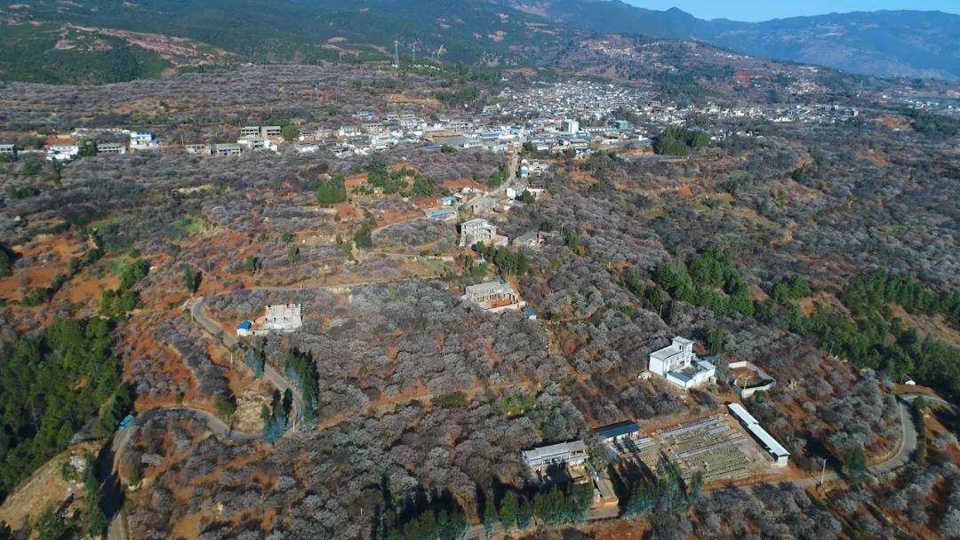 杉阳乡杉阳村 北斗乡梅花村 云龙县团结乡河南村 洱源县凤羽镇上寺村