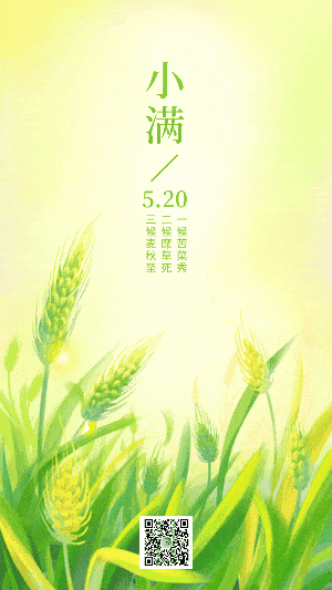 小满荷包含露翠